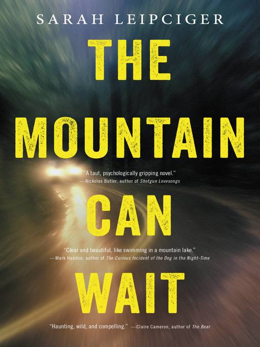 Title details for The Mountain Can Wait by Sarah Leipciger - Available